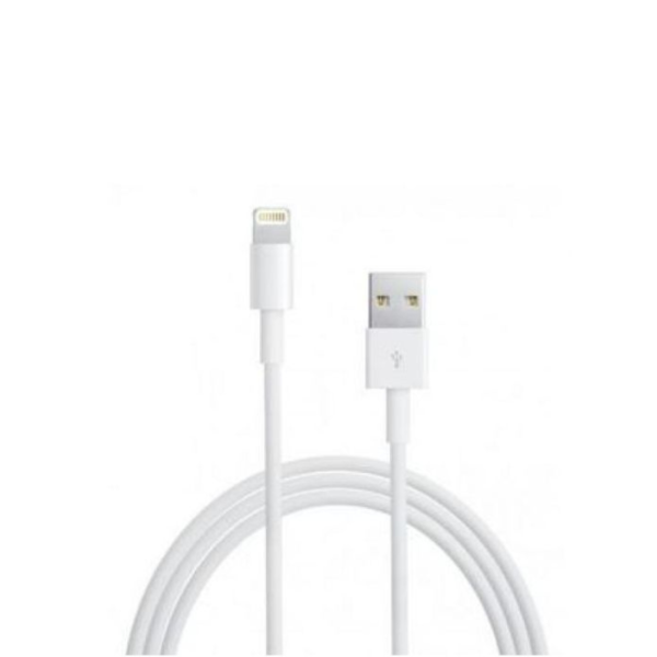 Câble Lightning vers USB pour iPhone