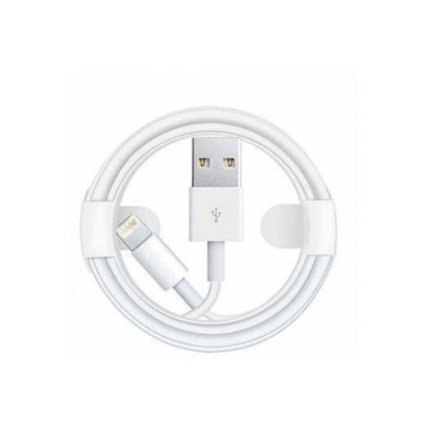 Câble Lightning vers USB pour iPhone
